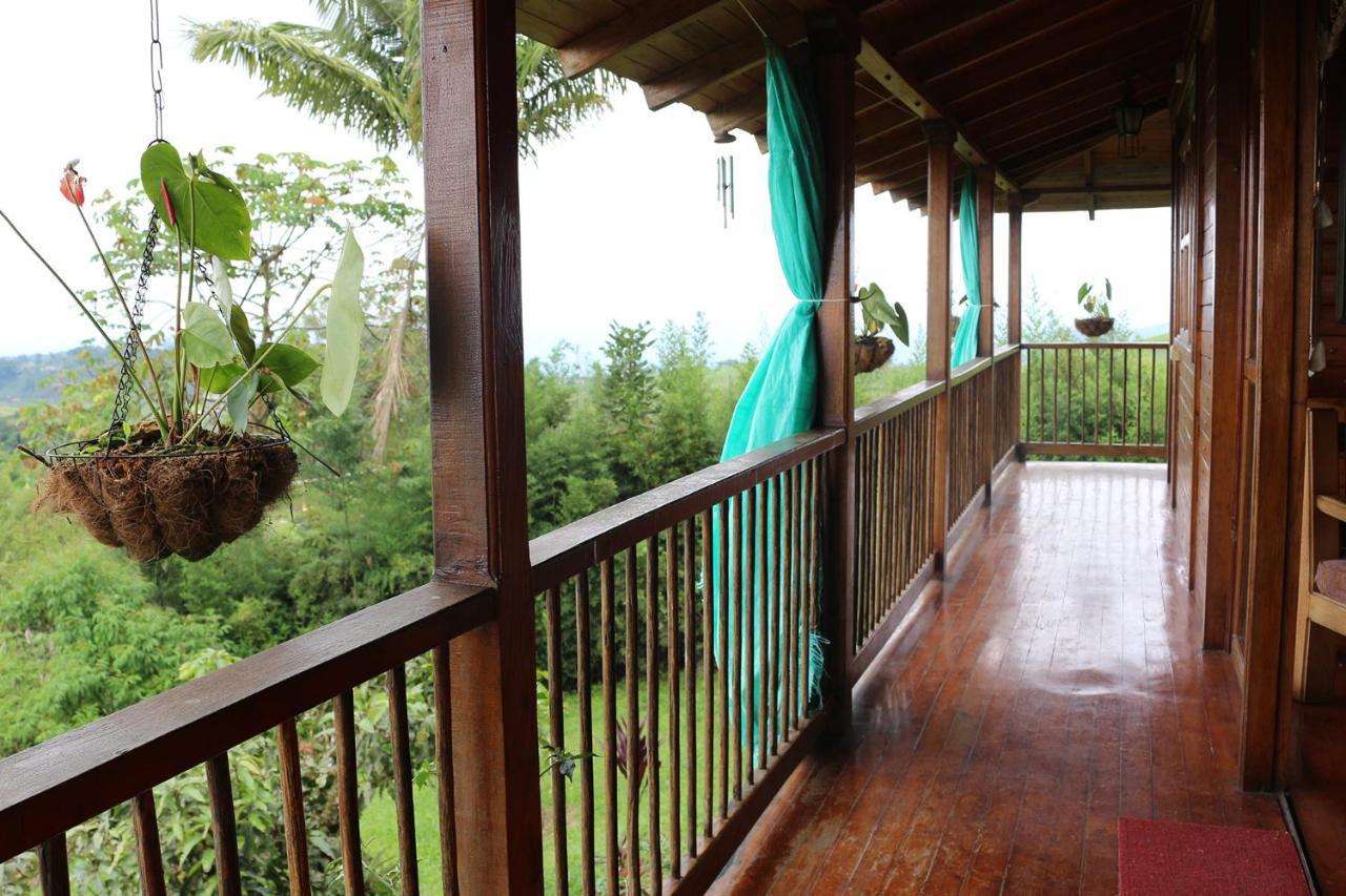 Finca Chalet La Tawa Sevilla  Exteriör bild